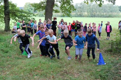 Foto des Albums: Crosslauf
