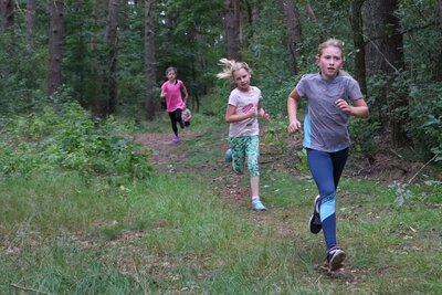 Foto des Albums: Crosslauf