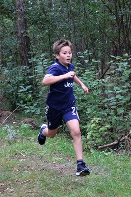 Foto des Albums: Crosslauf