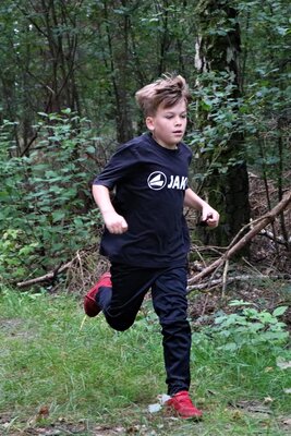 Foto des Albums: Crosslauf