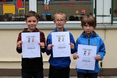 Foto des Albums: Crosslauf