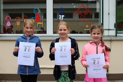 Foto des Albums: Crosslauf