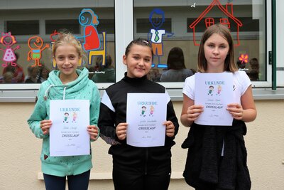 Foto des Albums: Crosslauf