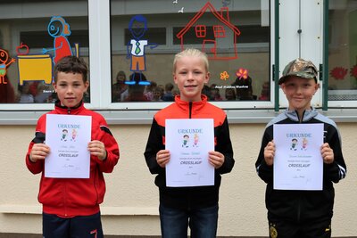 Foto des Albums: Crosslauf