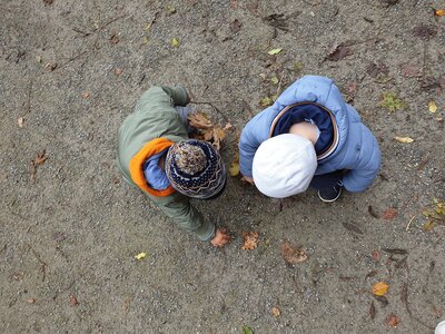 Foto des Albums: Der Herbst, der Herbst, der Herbst ist da...