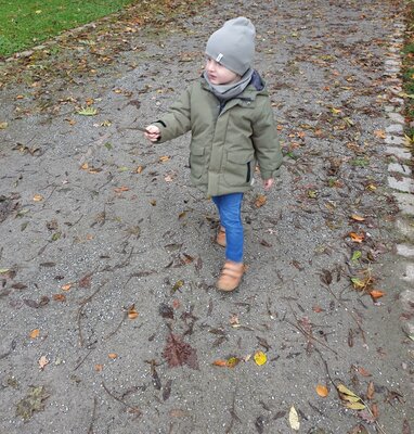 Foto des Albums: Der Herbst, der Herbst, der Herbst ist da...
