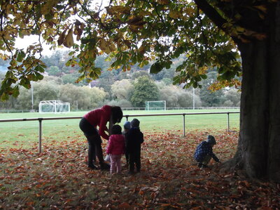 Foto des Albums: Der Herbst, der Herbst, der Herbst ist da...