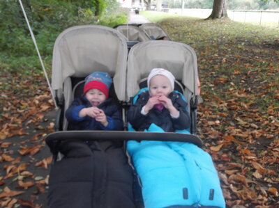Foto des Albums: Der Herbst, der Herbst, der Herbst ist da...