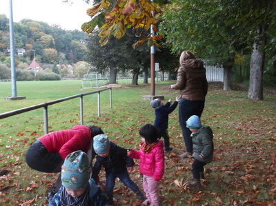 Foto des Albums: Der Herbst, der Herbst, der Herbst ist da...