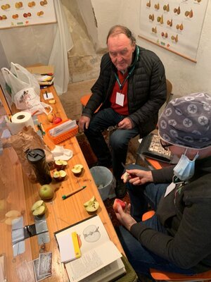 Foto des Albums: 14. Obstausstellung