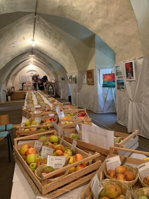 Foto des Albums: 14. Obstausstellung