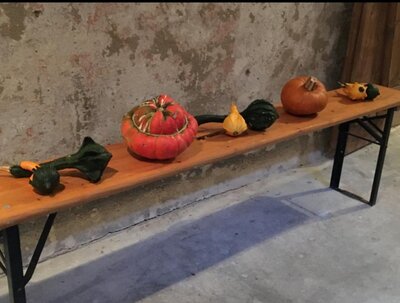 Foto des Albums: 14. Obstausstellung