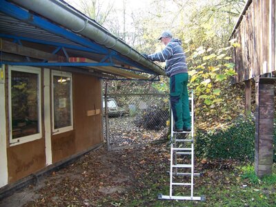 Foto des Albums: Arbeitseinsatz am 06.11.2021