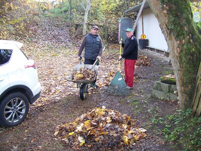Foto des Albums: Arbeitseinsatz am 06.11.2021