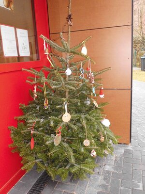 Foto des Albums: Adventsaktion mit den Regelkindern