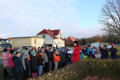 Foto des Albums: Baumschmücken