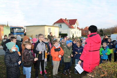 Foto des Albums: Baumschmücken