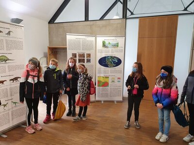 Foto des Albums: Auf den Spuren der Dinosaurier