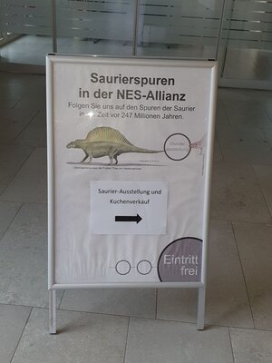Foto des Albums: Auf den Spuren der Dinosaurier