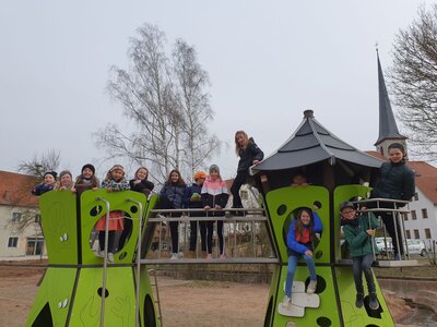 Foto des Albums: Auf den Spuren der Dinosaurier
