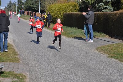 Foto des Albums: Jamikower Frühjahrslauf
