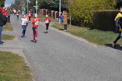 Foto des Albums: Jamikower Frühjahrslauf