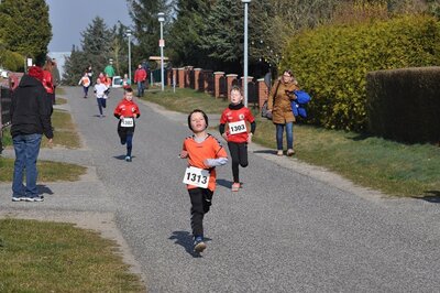 Foto des Albums: Jamikower Frühjahrslauf