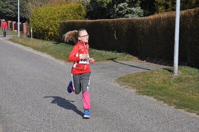 Foto des Albums: Jamikower Frühjahrslauf