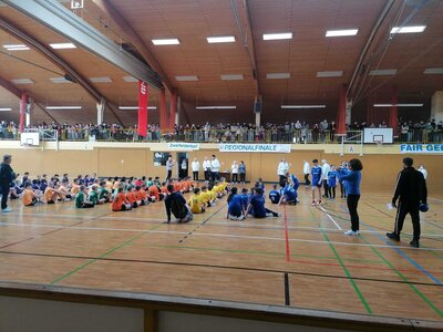 Zweifelderball 