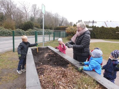 Foto des Albums: Unser Hochbeet
