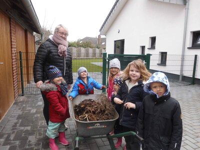 Foto des Albums: Unser Hochbeet
