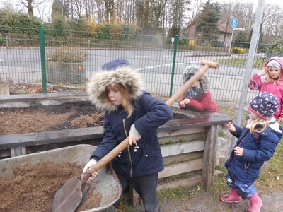 Foto des Albums: Unser Hochbeet