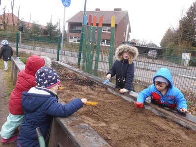 Foto des Albums: Unser Hochbeet