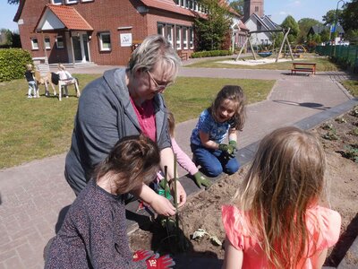 Foto des Albums: Unser Hochbeet