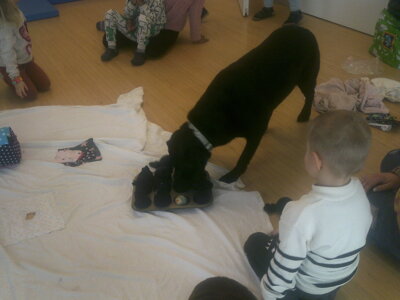Foto des Albums: Kita-Hund Lotte