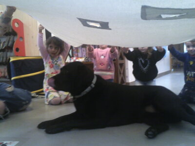 Foto des Albums: Kita-Hund Lotte