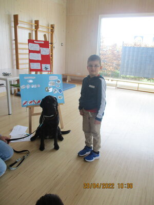 Foto des Albums: Kita-Hund Lotte
