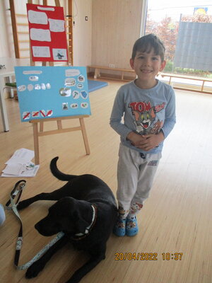 Foto des Albums: Kita-Hund Lotte