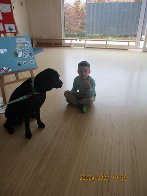 Foto des Albums: Kita-Hund Lotte