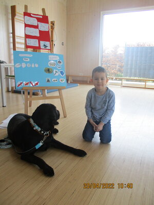 Foto des Albums: Kita-Hund Lotte