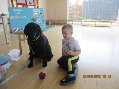 Foto des Albums: Kita-Hund Lotte