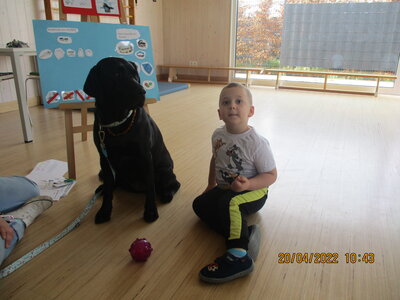 Foto des Albums: Kita-Hund Lotte