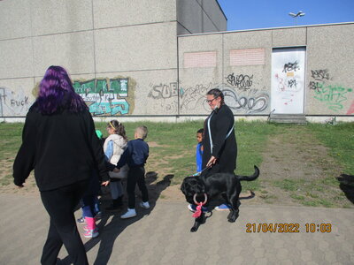 Foto des Albums: Kita-Hund Lotte