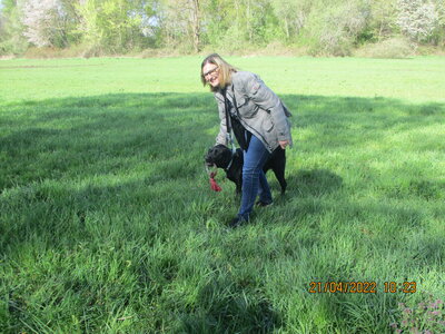 Foto des Albums: Kita-Hund Lotte