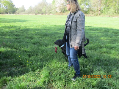 Foto des Albums: Kita-Hund Lotte