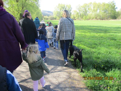 Foto des Albums: Kita-Hund Lotte