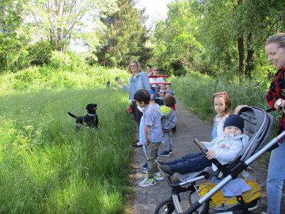 Foto des Albums: Kita-Hund Lotte