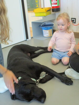 Foto des Albums: Kita-Hund Lotte