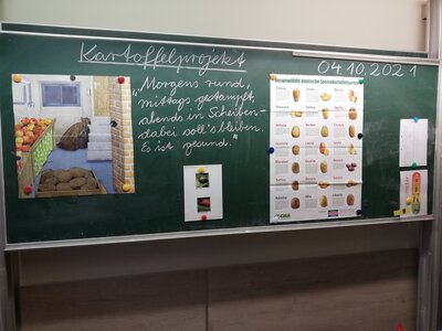 Foto des Albums: Kartoffelprojekt der 3. Klassen vom 04.10.21 bis 08.10.21