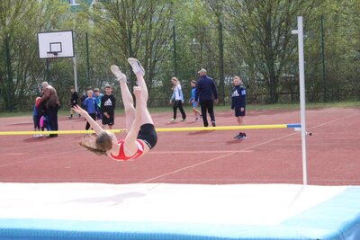 Foto des Albums: Torgelow Mehrkampf